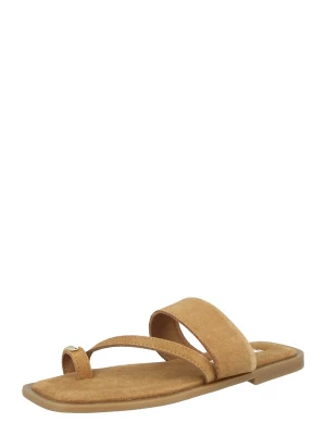 Obrázek produktu STEVE MADDEN Žabky 'Ellaina' béžová
