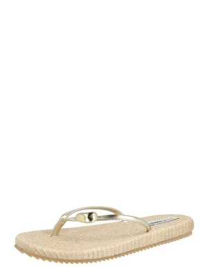 Obrázek produktu STEVE MADDEN Žabky 'Surfup' zlatá