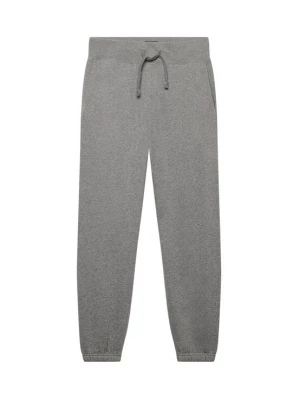 Obrázek produktu Superdry & Co Kalhoty 'ESSENTIAL' šedý melír