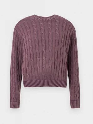 Obrázek produktu Svetr Carhartt WIP lila