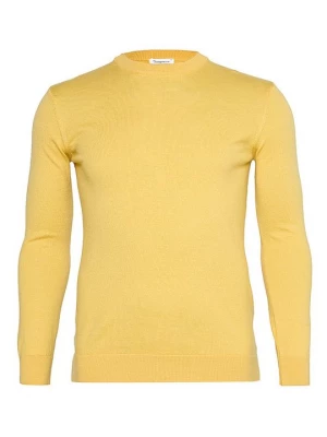 Obrázek produktu Svetr KnowledgeCotton Apparel žlutá