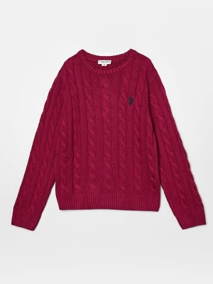 Obrázek produktu Svetr U.S. Polo Assn.