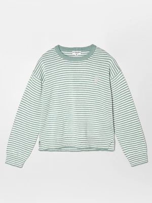 Obrázek produktu Svetr U.S. POLO ASSN. zelená