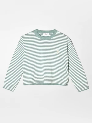 Obrázek produktu Svetr U.S. POLO ASSN. zelená
