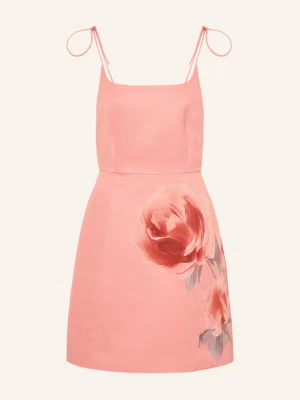 Obrázek produktu Ted Baker Šaty Rasbee růžová / růžová / starorůžová