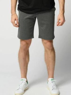 Obrázek produktu TEESHOPPEN Kalhoty ' Performance Shorts ' tmavě šedá