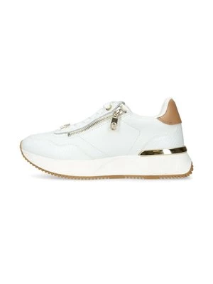 Obrázek produktu Tenisky Carvela