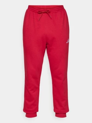 Obrázek produktu Teplákové kalhoty Adidas bordó