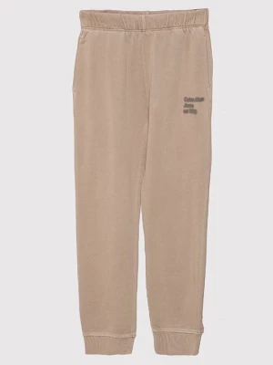 Obrázek produktu Teplákové kalhoty Calvin Klein Jeans