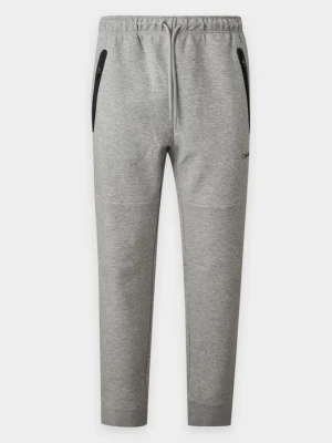 Obrázek produktu Teplákové kalhoty Calvin Klein stříbrná