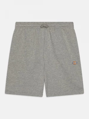 Obrázek produktu Teplákové kalhoty Dickies