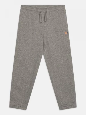 Obrázek produktu Teplákové kalhoty Dickies