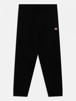 Obrázek produktu Teplákové kalhoty Dickies černá