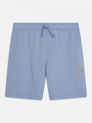 Obrázek produktu Teplákové kalhoty Dickies modrá