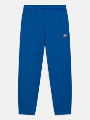 Obrázek produktu Teplákové kalhoty Dickies modrá