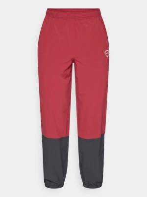 Obrázek produktu Teplákové kalhoty Nike červená