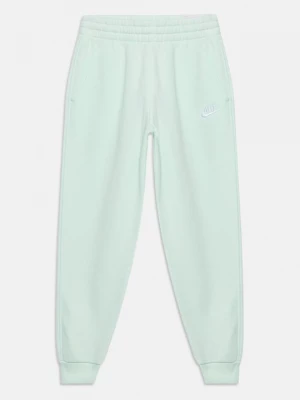 Obrázek produktu Teplákové kalhoty Nike zelená