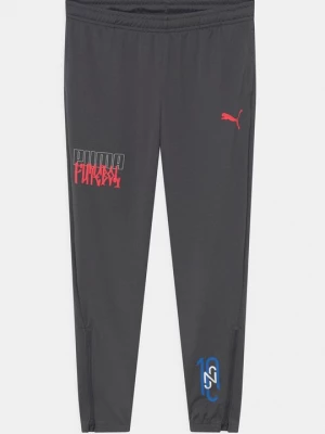 Obrázek produktu Teplákové kalhoty Puma