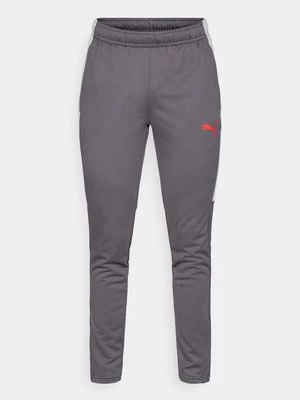 Obrázek produktu Teplákové kalhoty Puma černá