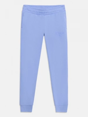 Obrázek produktu Teplákové kalhoty Puma lila