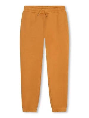 Obrázek produktu Teplákové kalhoty Timberland žlutá