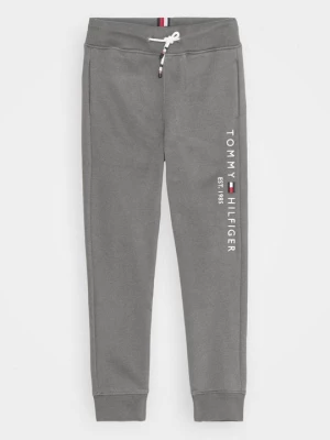 Obrázek produktu Teplákové kalhoty Tommy Hilfiger