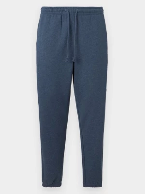 Obrázek produktu Teplákové kalhoty Tommy Jeans
