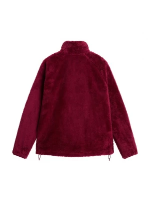 Obrázek produktu THE NORTH FACE Fleecová mikina 'OSITO EVOLVE' burgundská červeň