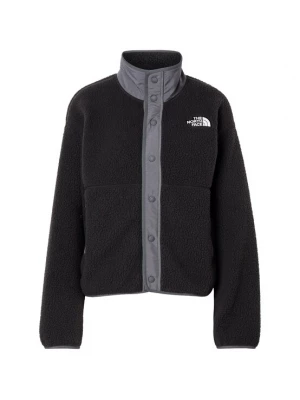 Obrázek produktu THE NORTH FACE Funkční fleecová mikina 'Cragmont' grafitová / černá / bílá