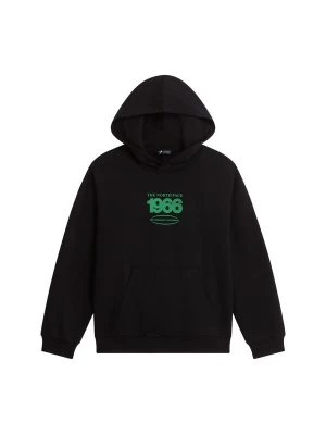 Obrázek produktu THE NORTH FACE Mikina zelená / černá
