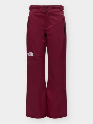 Obrázek produktu THE NORTH FACE Sportovní kalhoty 'LENADO' burgundská červeň