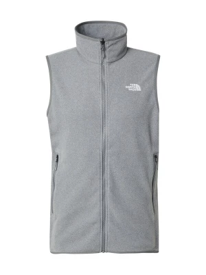Obrázek produktu THE NORTH FACE Sportovní vesta 'GLACIER' šedá / bílá