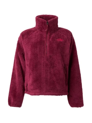 Obrázek produktu THE NORTH FACE Svetr 'OSITO EVOLVE' burgundská červeň