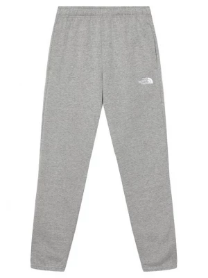 Obrázek produktu The North Face Teplákové kalhoty Evolution Simple Dome NF0A8CVD Šedá Regular Fit