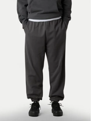 Obrázek produktu The North Face Teplákové kalhoty Expedition Celebration NF0A8E3E Šedá Relaxed Fit