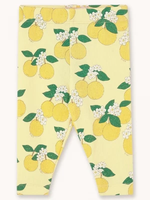 Obrázek produktu Tinycottons Kojenecké legíny Tinycottons ORANGES RIB BABY PANT žlutá