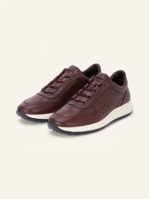 Obrázek produktu Tod's Sneakersy tmavě hnědá