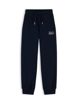 Obrázek produktu TOMMY HILFIGER Kalhoty námořnická modř / bílá