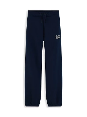 Obrázek produktu TOMMY HILFIGER Kalhoty tmavě modrá / bílá