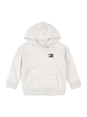 Obrázek produktu TOMMY HILFIGER Mikina 'HERITAGE' námořnická modř / světle šedá / červená třešeň
