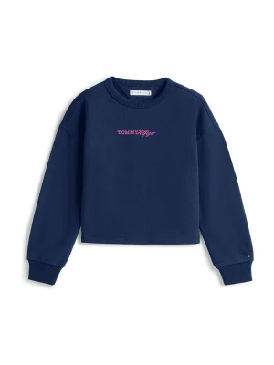 Obrázek produktu TOMMY HILFIGER Mikina námořnická modř / růžová