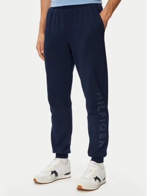 Obrázek produktu Tommy Hilfiger Teplákové kalhoty Performance MW0MW43445 Tmavomodrá Regular Fit