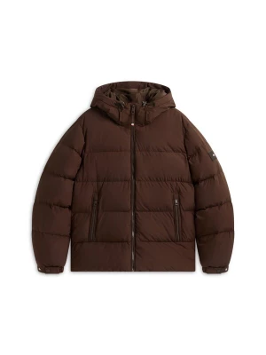 Obrázek produktu TOMMY HILFIGER Zimní bunda tmavě hnědá