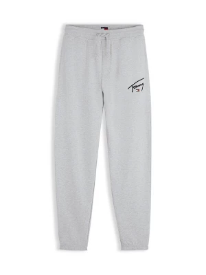 Obrázek produktu Tommy Jeans Kalhoty 'SIGNATURE' námořnická modř / světle šedá / červená třešeň