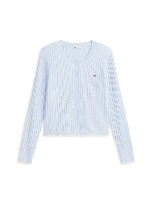 Obrázek produktu Tommy Jeans Kardigan světlemodrá