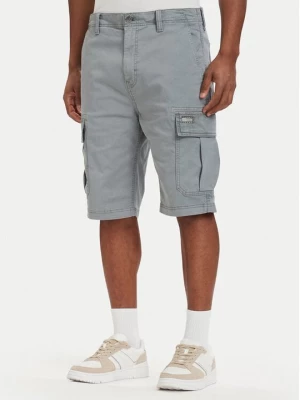 Obrázek produktu Tommy Jeans Šortky z materiálu Otis DM0DM22831 Šedá Regular Fit