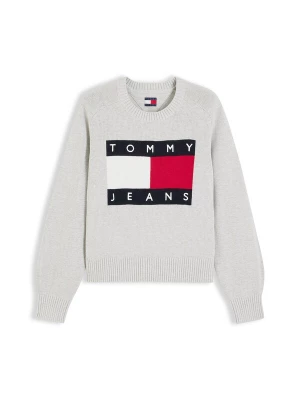Obrázek produktu Tommy Jeans Svetr námořnická modř / světle šedá / červená / bílá