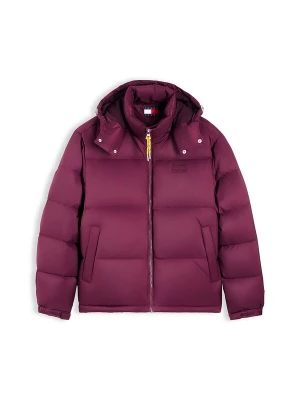 Obrázek produktu Tommy Jeans Zimní bunda 'Alaska' bobule