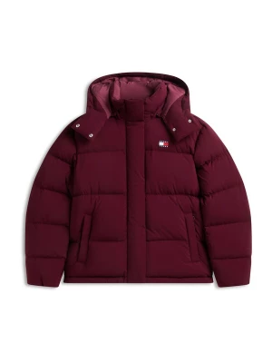 Obrázek produktu Tommy Jeans Zimní bunda 'Alaska' marine modrá / cyclam / červená / bílá