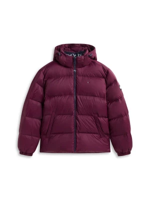 Obrázek produktu Tommy Jeans Zimní bunda 'Essential' bobule